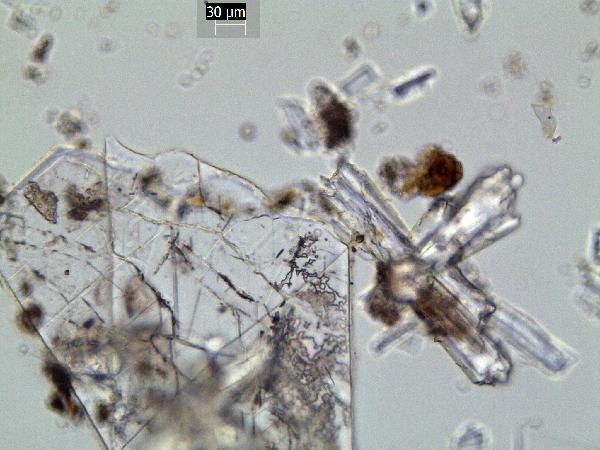 Phillipsite_12_GR-600.jpg