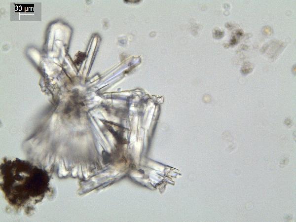 Phillipsite_13_GR-600.jpg
