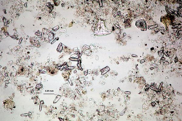 Phillipsite_1ppl-600.jpg