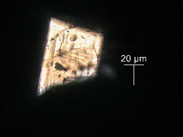 FD-92-2-6_90.1CM_40X_CP_CRACKED_PLAG-600.jpg
