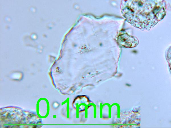 Plagioclase_01_pp_AB-600.jpg