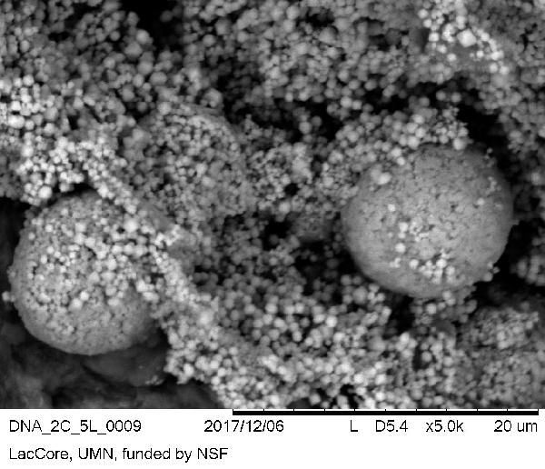 2C_5L_8spec2framboids-600.jpg