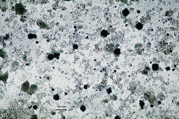 Pyrite_pyritohedra_2ppl-600.jpg