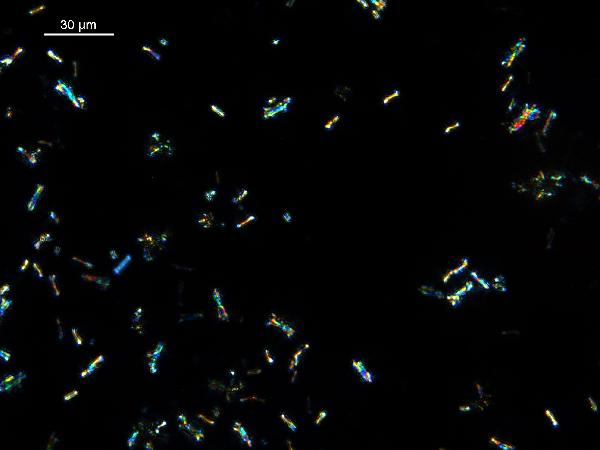 siderite_01_xp-600.jpg
