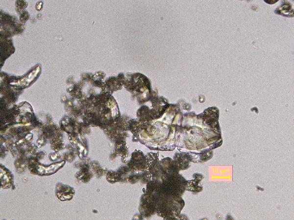 Sulfur_MR_BV_PP-600.jpg