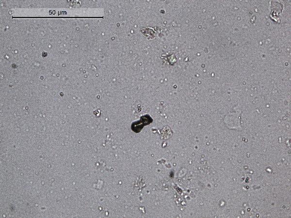 Titanite