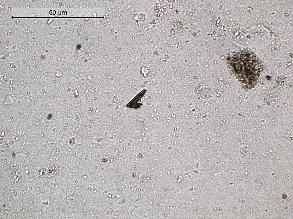 Titanite