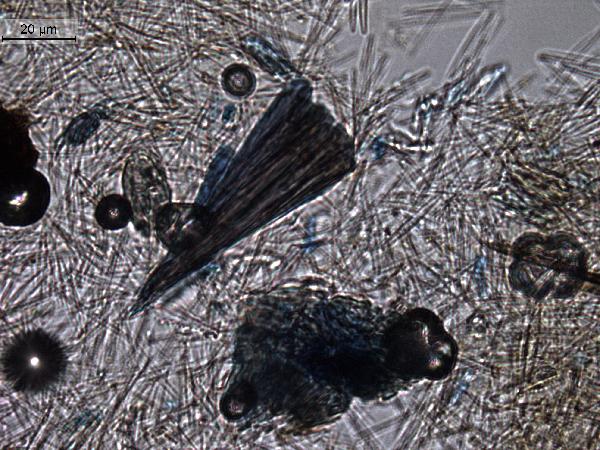Vivianite