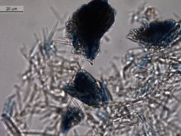 Vivianite