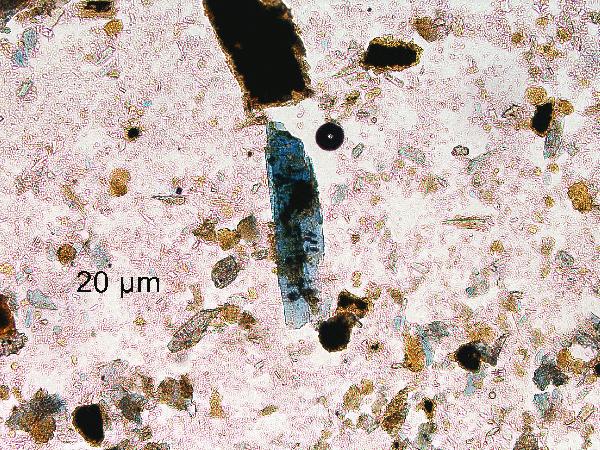 IRONFEST_10x_ppl_vivianite_limonite_pyrite-600.jpg