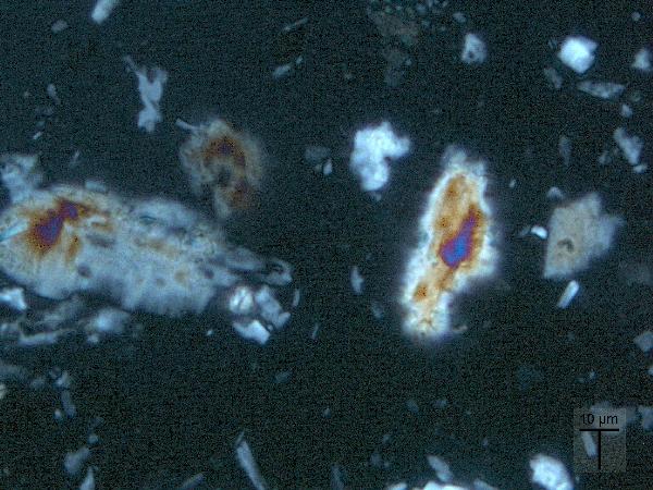 vivianite.MR_BV_CP-600.jpg