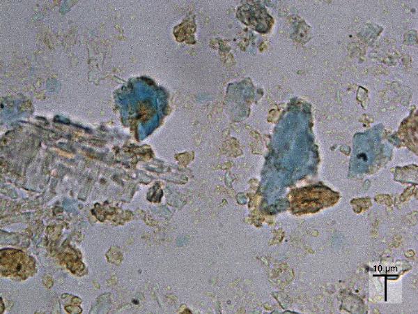 vivianite.MR_BV_PP-600.jpg