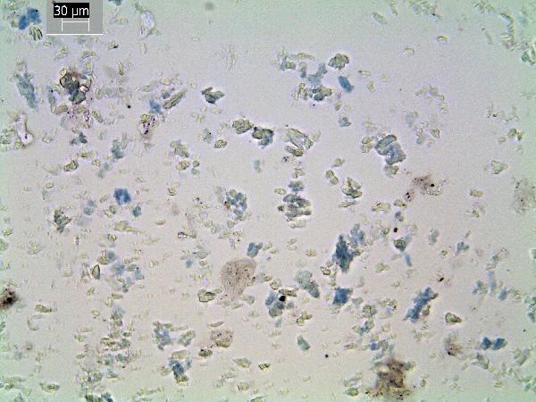 vivianite_MDS_pp1-600.jpg