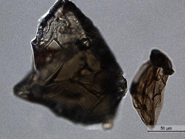 Volcanic Glass