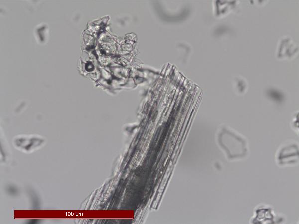 PTT_1A1K1_100_PP_400X-600.jpg