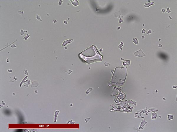 PTT_1A1K2_75_4_400X_PP-600.jpg