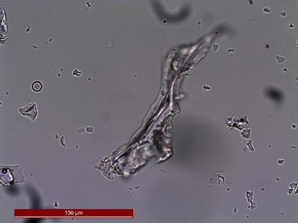 PTT_1A1K2_75_4_n02_400X_PP-600.jpg