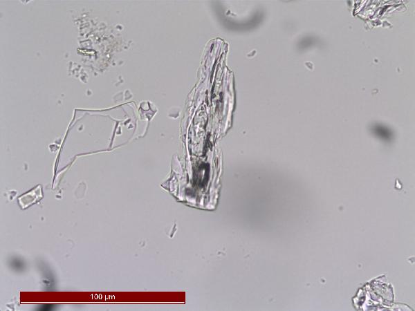 PTT_1A1K2_75_4_n04_400X_PP-600.jpg