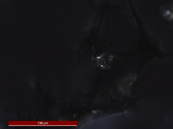 Volcanic Glass