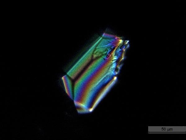 BHRS13-1B-2B-1_11_2cm_mafictephra_zirccp400-600.jpg