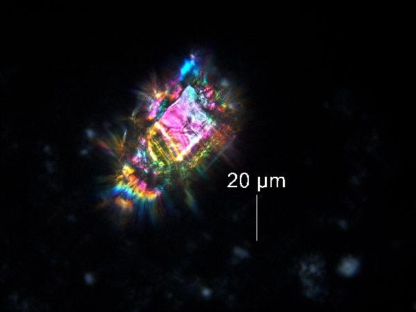 TAS-WDS11-1A-2B-1_89.4cm_xpl_40x_hex_frag-600.jpg